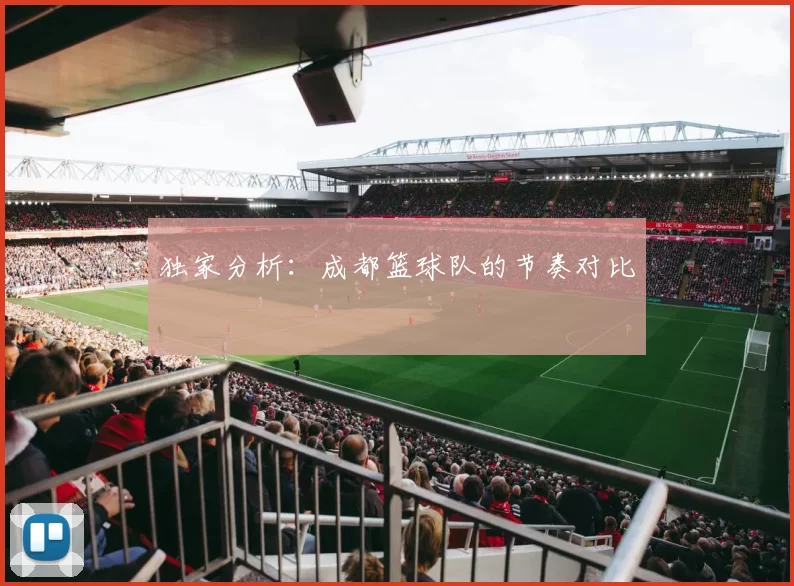 独家分析：成都篮球队的节奏对比