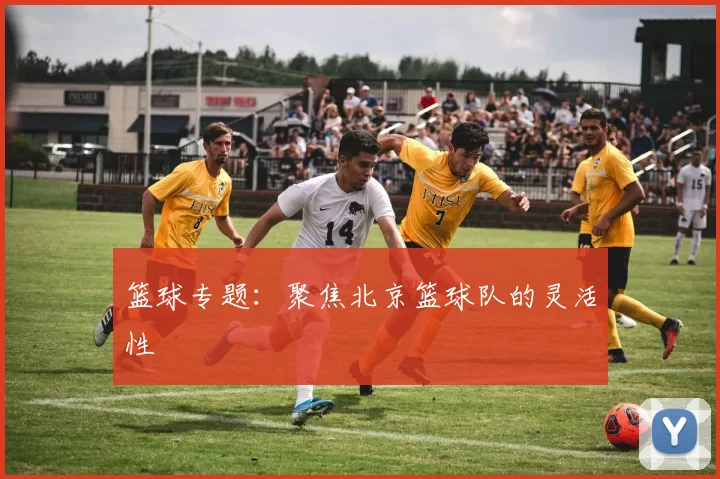 篮球专题：聚焦北京篮球队的灵活性