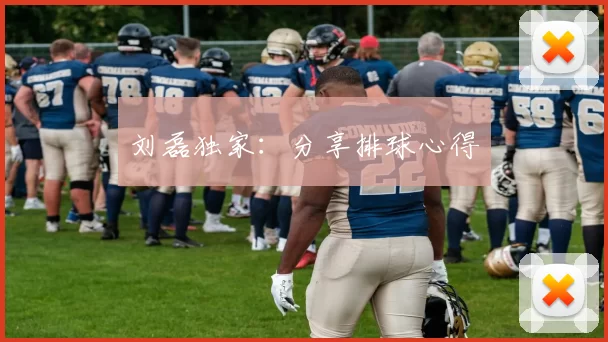 刘磊独家：分享排球心得