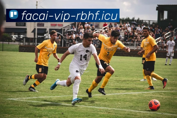 乐竞体育发展历程