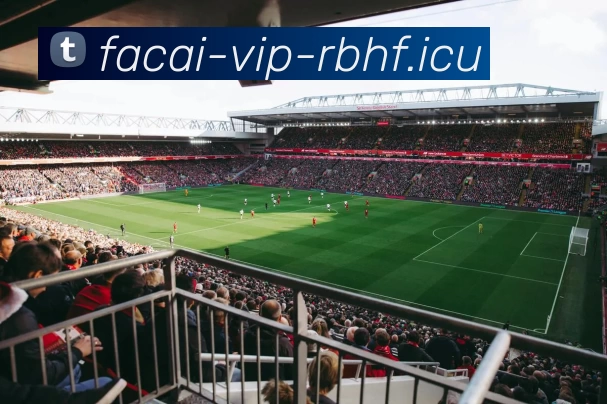 热议排球：深圳排球队的团队协作变革